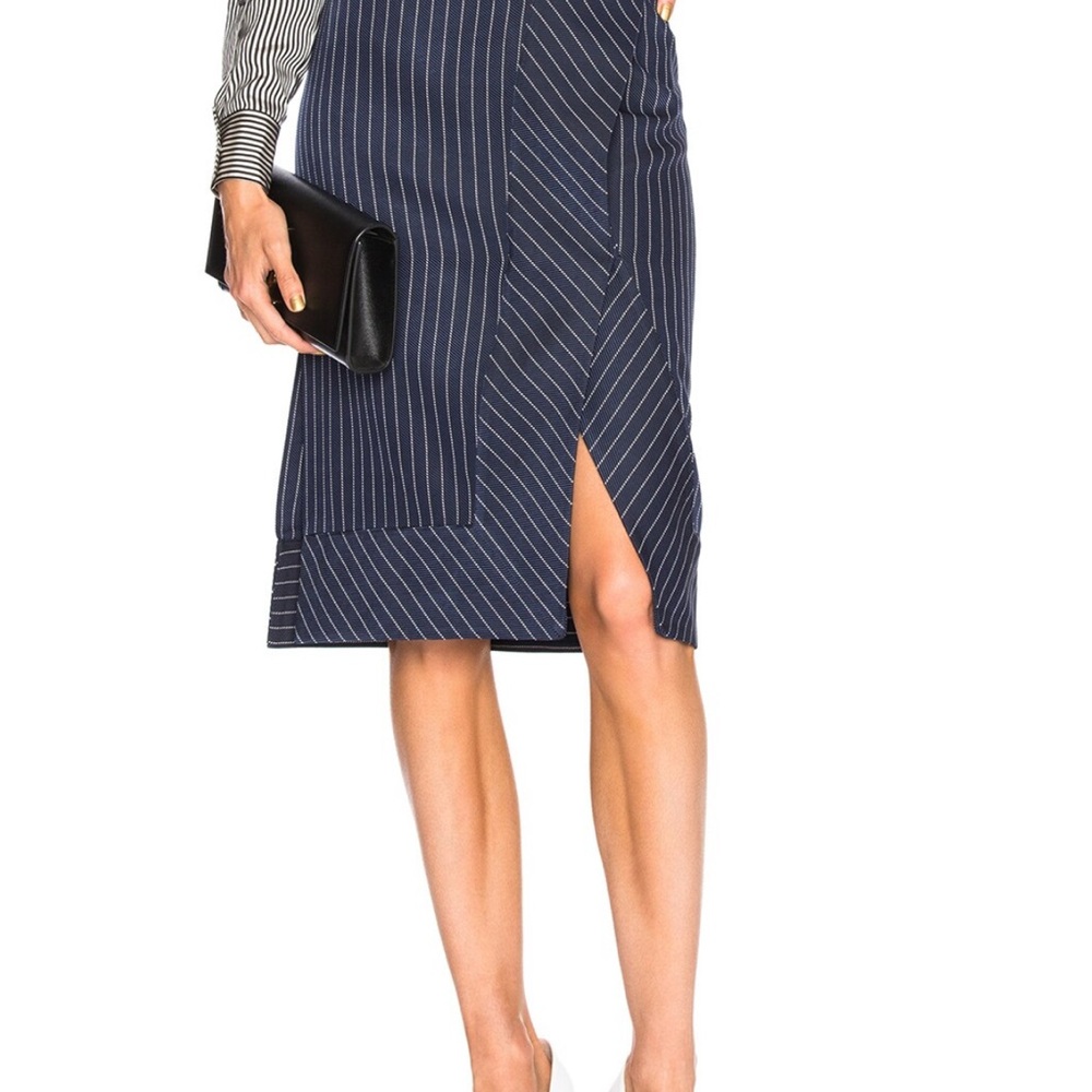 Altuzarra Jude Pinstripe Women's Skirt